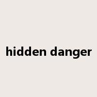 hidden danger是什么意思