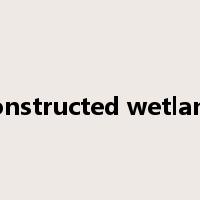 constructed wetland是什么意思