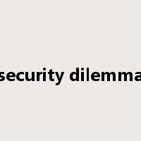 security dilemma是什么意思
