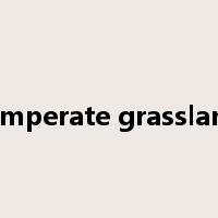 temperate grassland是什么意思