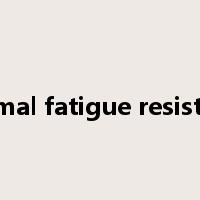 thermal fatigue resistance是什么意思