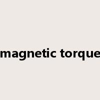 magnetic torque是什么意思