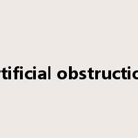 artificial obstruction是什么意思