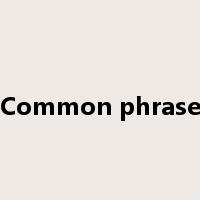 Common phrase是什么意思