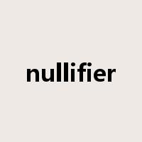nullifier是什么意思
