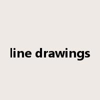 line drawings是什么意思