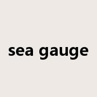 sea gauge是什么意思