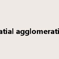 spatial agglomeration是什么意思