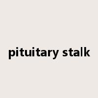 pituitary stalk是什么意思