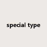 special type是什么意思