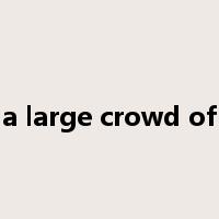 a large crowd of是什么意思
