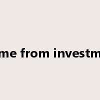 income from investments是什么意思