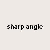sharp angle是什么意思