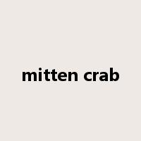 mitten crab是什么意思