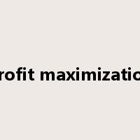 profit maximization是什么意思