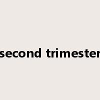 second trimester是什么意思
