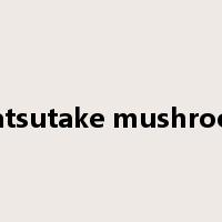 Matsutake mushroom是什么意思