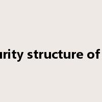 maturity structure of debt是什么意思