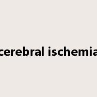 cerebral ischemia是什么意思