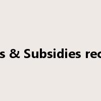 Grants & Subsidies received是什么意思