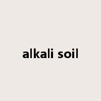 alkali soil是什么意思
