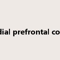 medial prefrontal cortex是什么意思