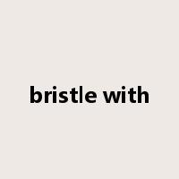 bristle with是什么意思