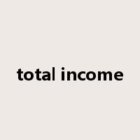 total income是什么意思