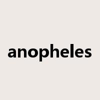 anopheles是什么意思