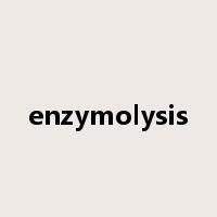 enzymolysis是什么意思