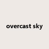 overcast sky是什么意思