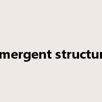 emergent structure是什么意思