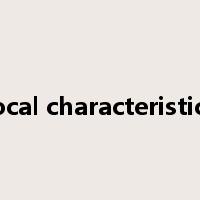 local characteristics是什么意思