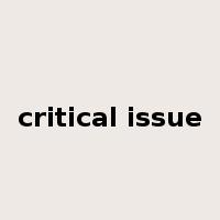 critical issue是什么意思