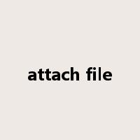 attach file是什么意思
