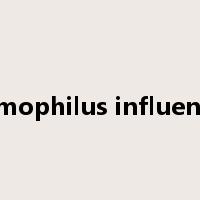 Hemophilus influenzae是什么意思