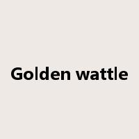 Golden wattle是什么意思