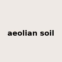 aeolian soil是什么意思