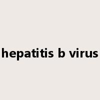hepatitis b virus是什么意思