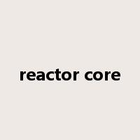 reactor core是什么意思