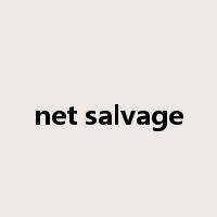 net salvage是什么意思
