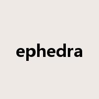 ephedra是什么意思