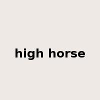 high horse是什么意思