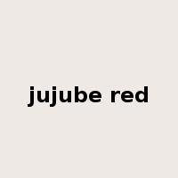 jujube red是什么意思