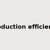 production efficiency是什么意思