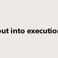 put into execution是什么意思