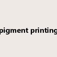 pigment printing是什么意思