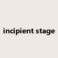 incipient stage是什么意思