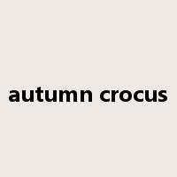autumn crocus是什么意思