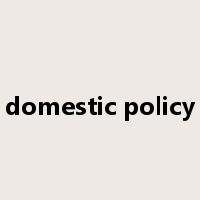 domestic policy是什么意思